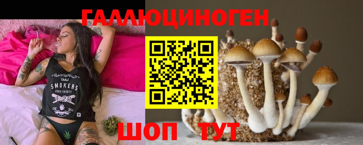 Галлюциногенные грибы Белово