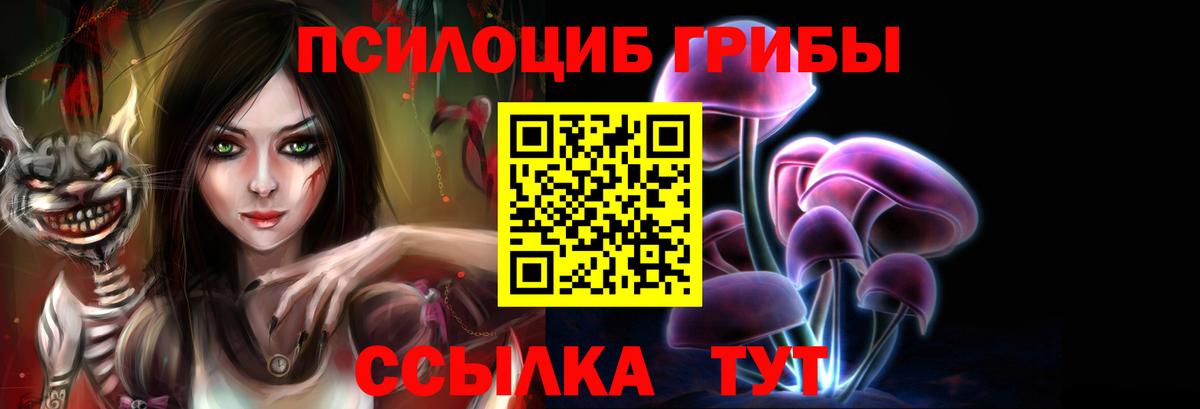 Псилоцибиновые грибы GOLDEN TEACHER  Галлюциногенные грибы мицелий  Вход с VPN  Белово 